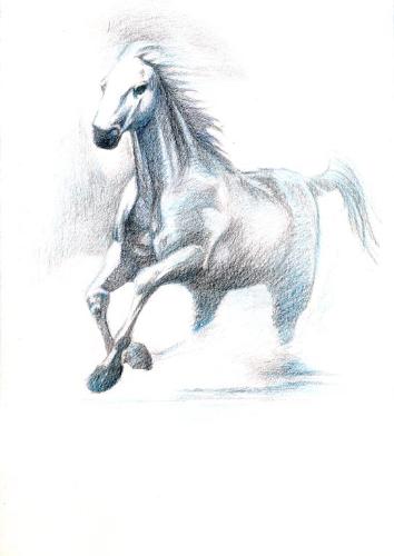 Horse - This drawing of horse is done by my self :)