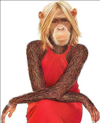 Monkey Girl - How about me for a dream date darling?