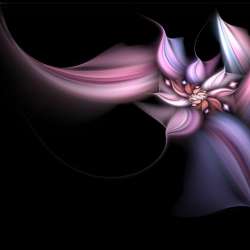flower - i like this....i like everything related to art...