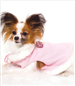 Cutie Pie - Isn't this just sweet. Cutie Pie - Isn't this just sweet.