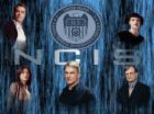 ncis - navy ncis