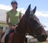 horse - its me and my horses
