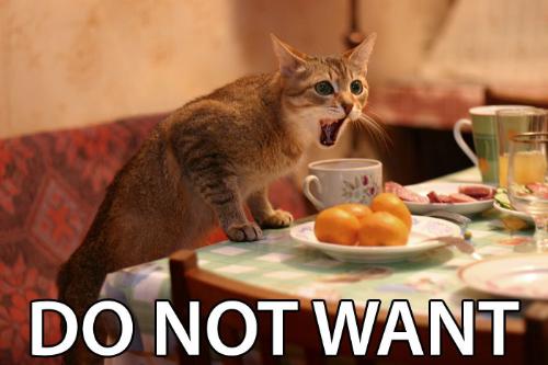 The Do Not Want Kitty - Cats are just adorable.
