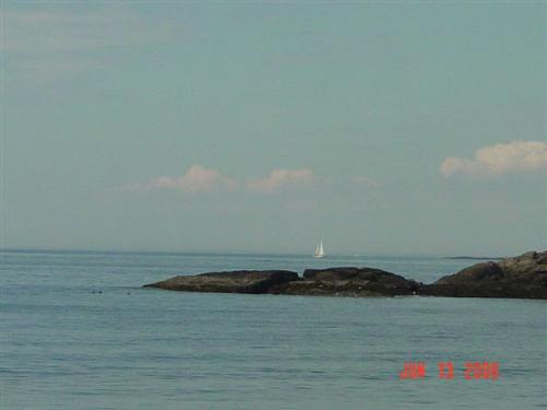 beach - i love the ocean