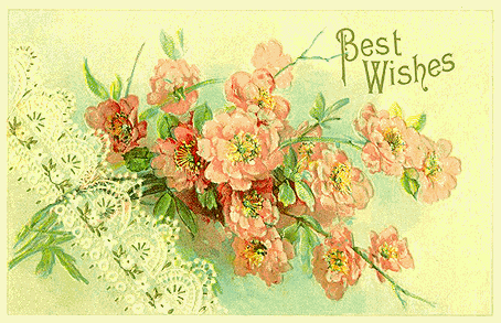 flowers - set of flowers with best wishes on them