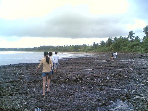 ratakdatak - ratakdatak @ the beach