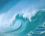 ocean. - ..