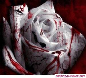 this is a gothic rose - a gothic rose and it fits my personality.