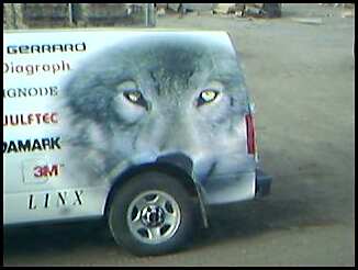 Van Decoration - My husband says that this fits with my post, because he thinks my friend should be like the wolf and stand up for what she believes. So in all reality, i guess the wolf fits.
Cool Van Eh, He loved that van, had to get out the camera!