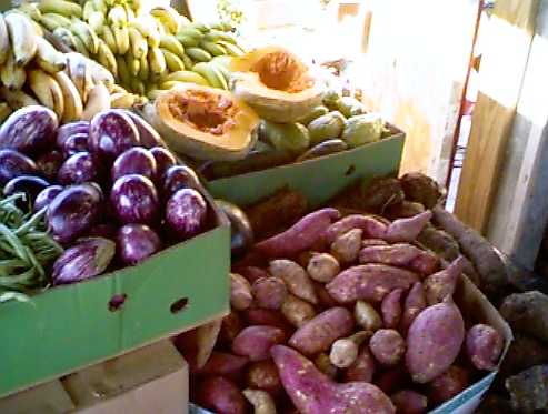 vegetables - like to eat vegetables