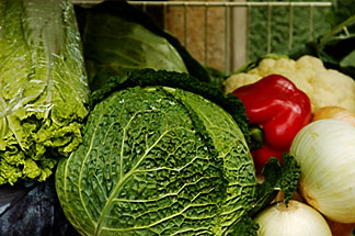 vegetables - like to eat vegetables