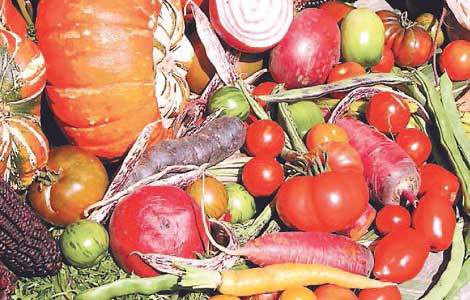 vegetables - like to eat vegetables