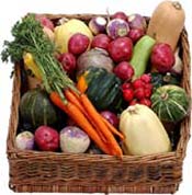 vegetables - like to eat vegetables