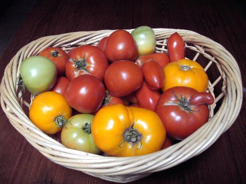 vegetables - like to eat vegetables