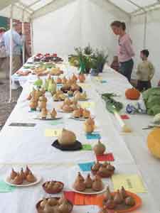 vegetables - like to eat vegetables