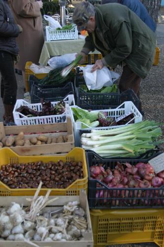 vegetables - like to eat vegetables