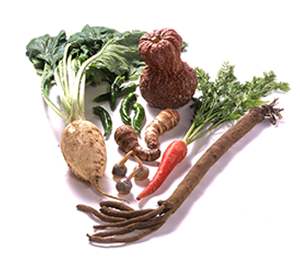 vegetables - like to eat vegetables