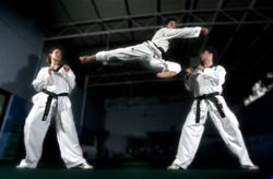 martial arts - the key to a healthy life - martial arts - the ammazing fighting strategy 