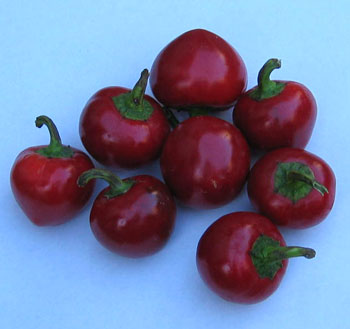 vegetables - like to eat vegetables