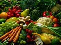 vegetables - like to eat vegetables