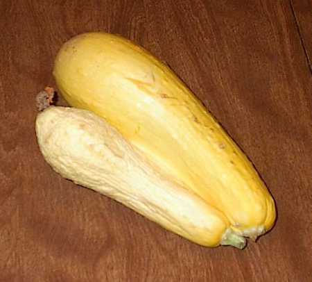 vegetables - like to eat vegetables