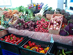 vegetables - like to eat vegetables