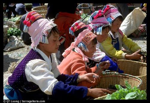 vegetables - like to eat vegetables