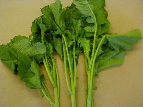 vegetables - like to eat vegetables