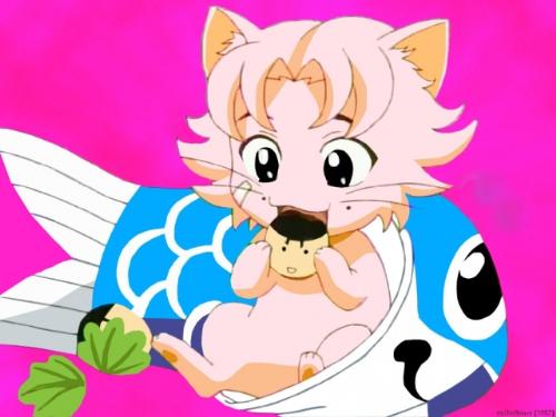 kikumaru eiji in neko form. - here's eiji in his cat form, a pet in the zany tenipuri family. kawaii!!!