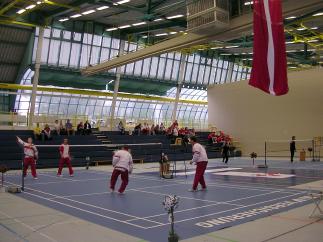 badminton - to play badminton