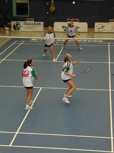 badminton - to play badminton