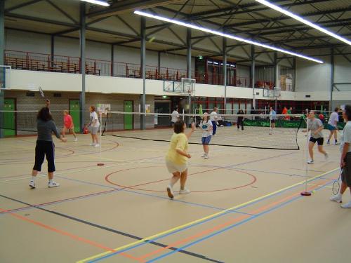 badminton - to play badminton