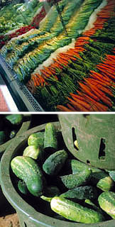 vegetables - like to eat vegetables