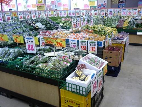 vegetables - like to eat vegetables