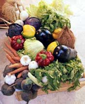 vegetables - like to eat vegetables