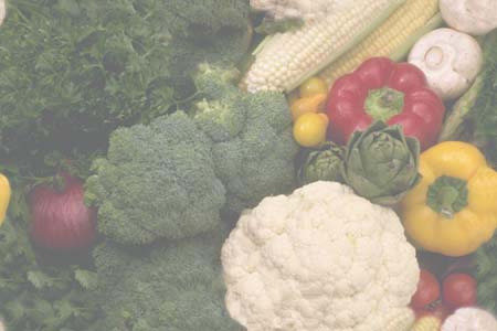 vegetables - like to eat vegetables