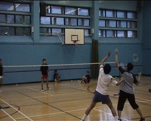 badminton - to play badminton