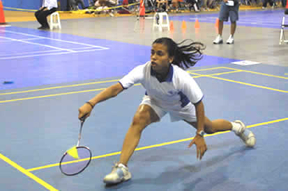 badminton - to play badminton