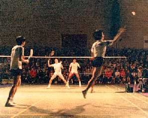 badminton - to play badminton