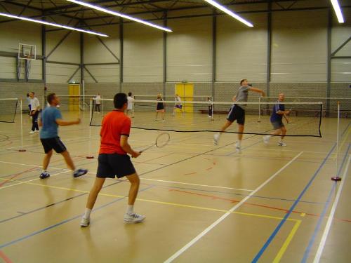 badminton - to play badminton
