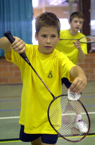 badminton - to play badminton