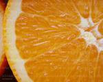 Orange - The fruit orange