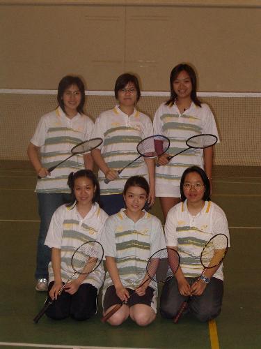 badminton - to play badminton