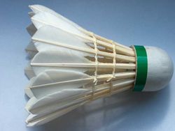 badminton - to play badminton