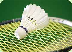 badminton - to play badminton