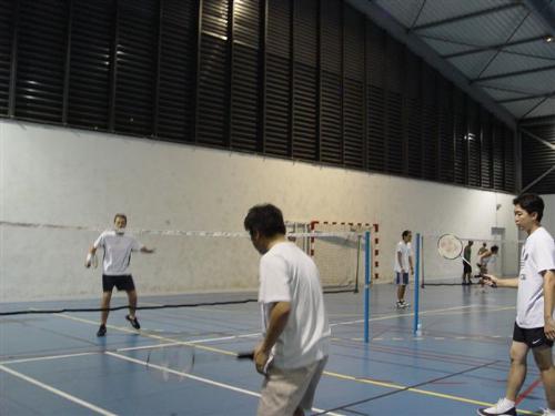 badminton - to play badminton