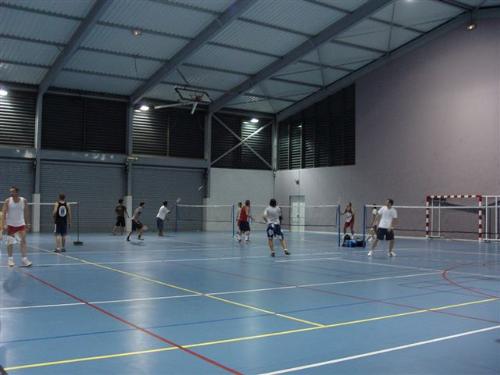 badminton - to play badminton