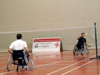 badminton - to play badminton