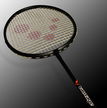 badminton - to play badminton