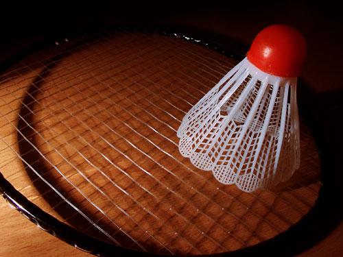 badminton - to play badminton